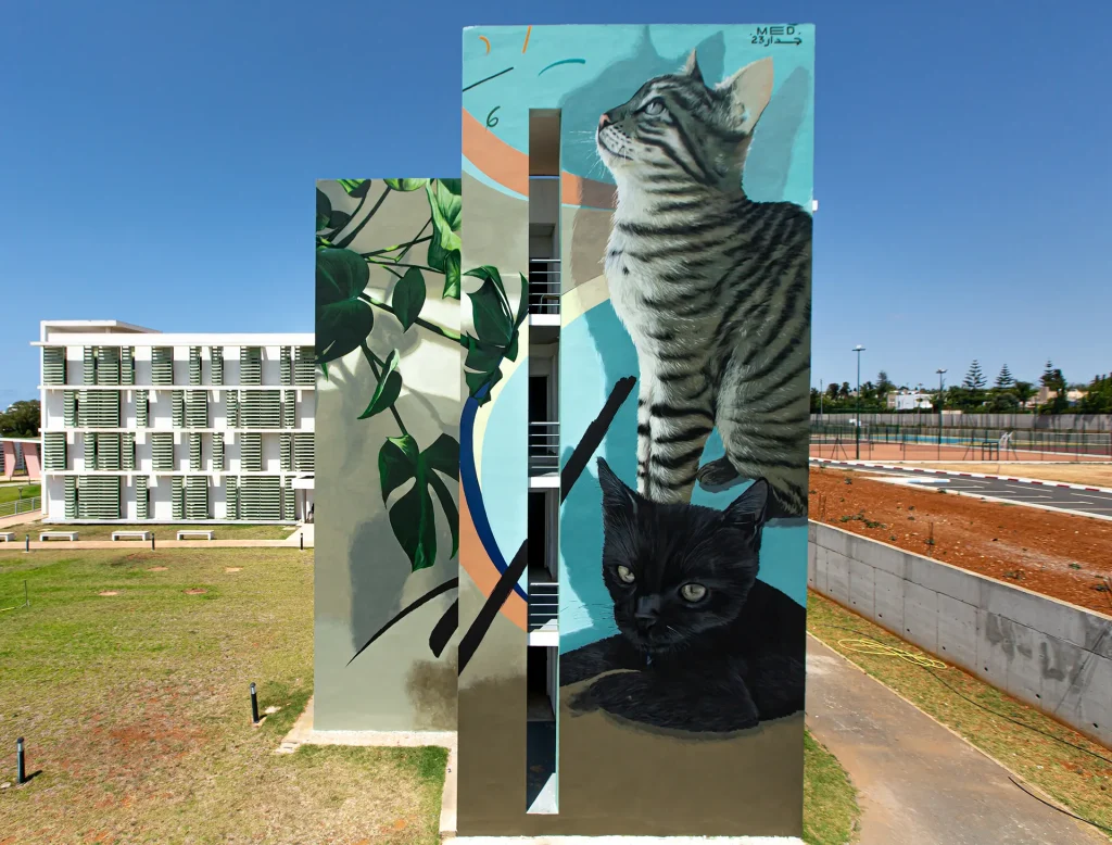 Mehdi Zemouri, aka MED, est un artiste autodidacte originaire de Meknès. Né en 1993, ce passionné de dessin réalise son premier mur en 2012..